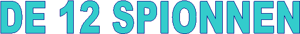 DE 12 SPIONNEN